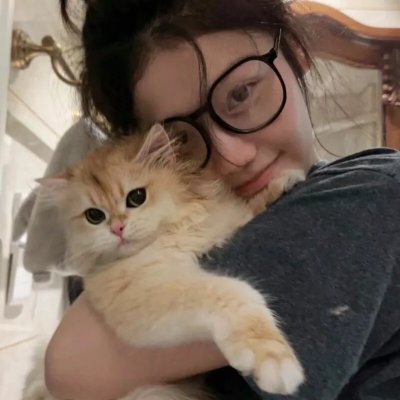 隆美尔宝藏